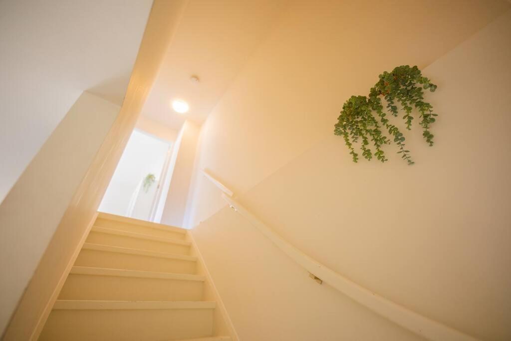 Lovely 3 Bedroom Apartment In Eindhoven 65M2 - Sd23N エクステリア 写真